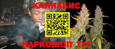 стаф Кимры