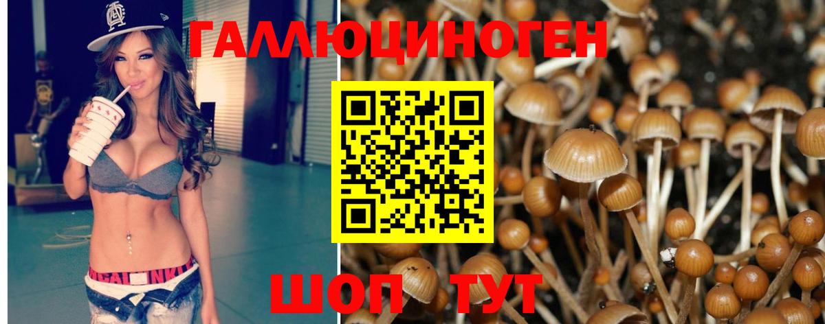 Псилоцибиновые грибы MAGIC MUSHROOMS Сокол