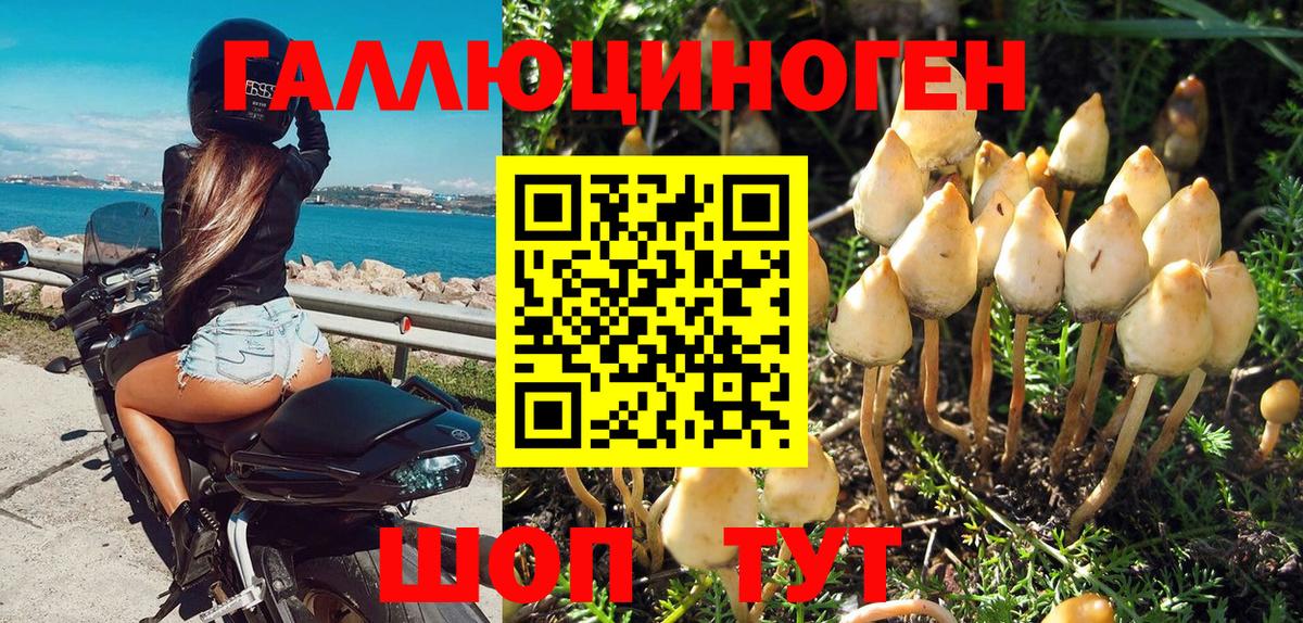 Псилоцибиновые грибы GOLDEN TEACHER  Вход с VPN  Псилоцибиновые грибы Psilocybine cubensis  Сокол 
